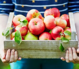 Organic Apples: A Wholesome Bite and Sustainable Cultivation