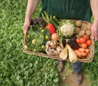 The Growing Popularity of Organic Food: A Simple Guide
